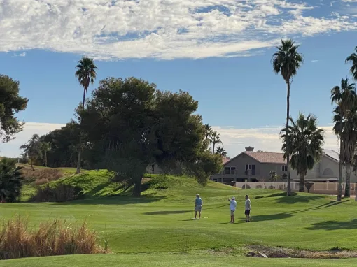 WhatsApp Image 2024-02-23 at 17.09.55 (7)